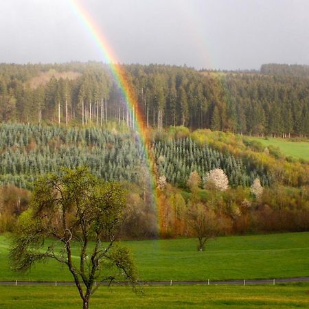 Апартаменти Eifel Rebeige Gerolstein Kopp Екстер'єр фото